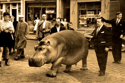 Редкая фотография большого размера "Малышка гуляет по Брюсселю". 1958 год. Бельгия.Европа.