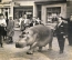 Редкая фотография большого размера "Малышка гуляет по Брюсселю". 1958 год. Бельгия.Европа.