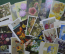 Большой сборный лот открыток СССР, на тему "Флора. Цветы и растения". Более 200 шт.