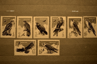 Серия марок "Хищные птицы", 1965 год, ноябрь - декабрь. Негашеные.