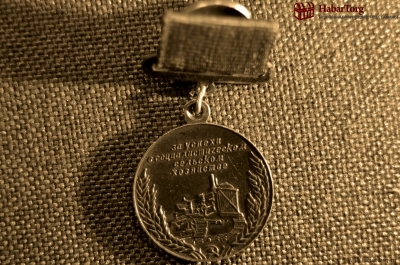 Малая серебряная медаль ВДНХ, номерная.