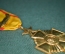 Крест за Военные Заслуги (RZ), Республика Заир