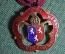 Медаль Королевского масонского благотворительного института, STEWARD, Англия, 1954г.