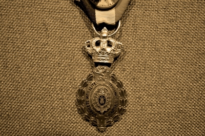  Медаль за трудовые заслуги Бельгия