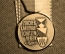 Медаль стрелкового группового чемпионата (Нефтенбах - Цюрих - Вальд). Швейцария, 1984 год. 