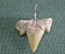 Кулон подвеска "Зуб древней ископаемой акулы" #1