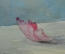 Картина "Пионы в стеклянной вазе", акварель. Автор - Шавлов А.Ф., 1993г.