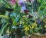 Картина "Кувшин с цветами". Автор Гусев Петр. Масло,холст. 1993 г.