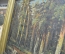 Копия картины Шишкина Ивана "Корабельная роща". Автор неизвестен. Масло, холст. 1947 г.