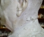 Иосиф Сталин. Парковая скульптура (бюст Сталина, большой, бетон). Скульпторы Ингал, Боголюбов.