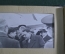 Комплект фотоальбомов (4шт.) из архива МГБ СССР, Хрущев, 1952 год