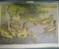 Плакаты "Куры","Утки и гуси"- Наглядное пособие для детских садов. "Просвещение" 1977 год, 2 штуки