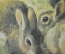 Советский плакат "Кролики", Наглядное пособие для детских садов. Издательство "Просвещение" 1977 г.