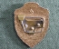 Знак значок "Отличник ВВС", СССР, легкий металл
