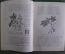 Учебник ботаники, часть первая "Цветковые растения", издание Сабашниковых, 1916 год.