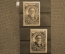 Почтовые марки "100-летие с дня рождения И.И.Мечникова". 24 ноября 1945 года.