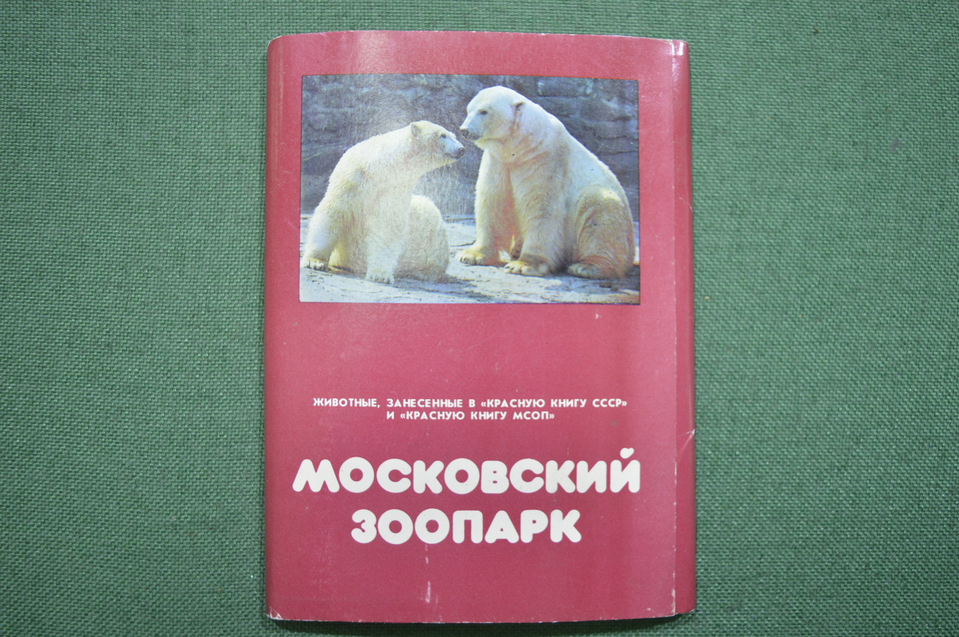 Купить Набор открыток "Московский зоопарк", Издательство "Планета ...