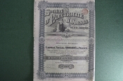 Одесская электрическая компания (Electricite d' Odessa). Акция на 100 франков. Синий штамп. 1910 г.