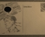 Открытка "Немецкий моряк возле флага". Feldpostcarte, 3-й Рейх, Германия.