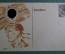 Открытка "Немецкий моряк возле флага". Feldpostcarte, 3-й Рейх, Германия.