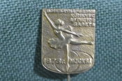 Значок, фрачник 