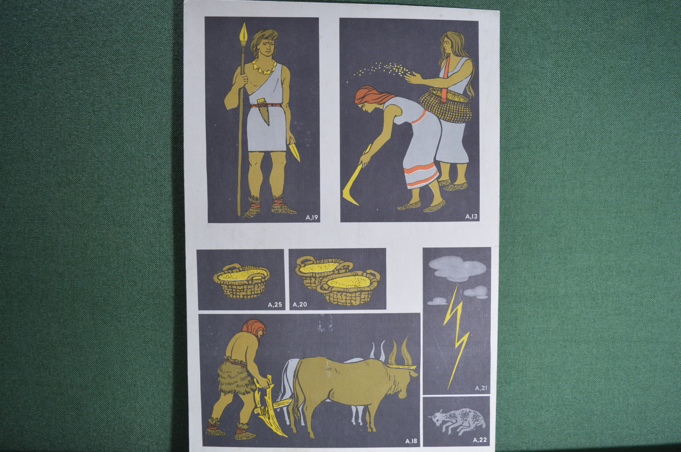 Купить Плакат школьный по истории "Образ жизни древних народов". СССР ...