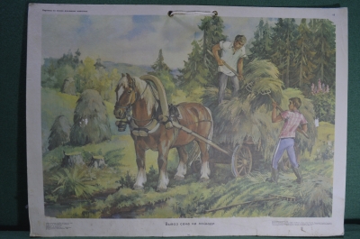 Плакат школьный "Вывоз сена на лошади". Картины из жизни домашних животных, 1986 год. СССР.