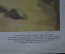 Плакат школьный "Храмовое хозяйство в Древнем Египте". Издательство "Просвещение". 1970 год.