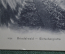Старинная открытка "Грот Гриндельвальда в Бернских Альпах". Швейцария, начало XX века.