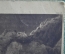 Старинная открытка "Горный козел". № 14245.  Подписанная. Начало XX века.