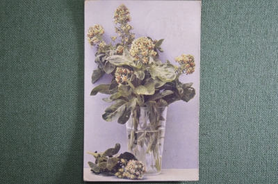 Старинная открытка "Цветы в стакане". Подписанная, с маркой. Начало XX века.