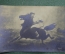 Старинная открытка "Назначение. Всадник на коне". Подписанная, с маркой. № 6472. Начало XX века.