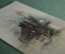 Старинная миниатюрная открытка "Вид на старинный дом". Закат. Подписанная. Начало XX века. 
