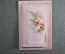 Миниатюрная старинная открытка. Раскладная, трехмерная. Куст роз, птичка. Конец XIX века, Германия.