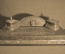 Старинный письменный прибор. латунь, мрамор. Голова женщины. Конец XIX - начало XX века.