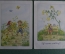 Две открытки на детскую тему "Вместе собираем цветы", "Жду тебя". Arthur Bayerlein. Начало XX века