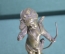 Скульптура "Купидон, Амур". Крылатый хулиган с луком. Латунь, мрамор. 