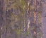 Старинная картина "Березовая роща". Масло, холст, в раме. Конец XIX - начало XX века.