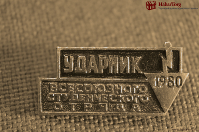 Знак, значок "Ударник Всесоюзного Студенческого Отряда 1980". ССО, СССР.