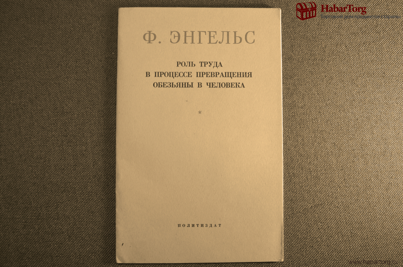 Теория труда энгельса