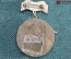 Знак памятный "Бойцам 1 конной" #1. Тяжелый металл, эмаль. 