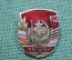 Знак, значок "Ветеран". СССР.