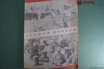 Журнал "Огонек". 1945 год, № 36. Наш славный Донбасс. История одного альбома. Пенициллин.