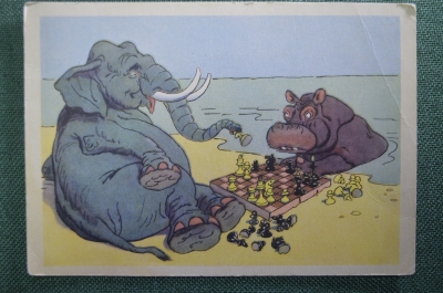 Открытка "Ход слоном", чистая. Слон и бегемот, шахматы. Художник баженов, 1956 год, СССР.