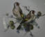 Тарелка декоративная "Птицы на ветке ели". Фарфор Kaiser, Германия.