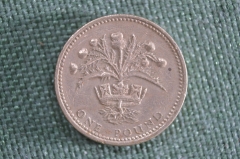 1 фунт 1989 года. Шотландия. Великобритания. 