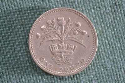 1 фунт 1989 года. Шотландия. Великобритания. 