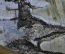 Панно настенное, картина  "Храм на реке. Коломна, Городище". Береста, темпера. Ферапонтова