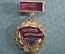 Знак, значок "Победитель соцсоревнования, 1978". Легкий металл, СССР.