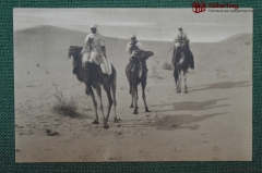Колониальная открытка. Африка, бедуины на верблюдах. "Scenes Algeriennes - Touaregs dans le Saharab"